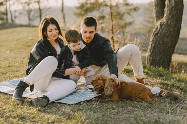 5 regali per la Festa del Papà a tema cuccioli di cane, i più cool