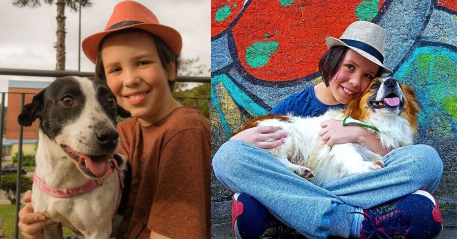 bambino di 11 anni fa il bagno ai cani senzatetto per aiutarli a trovare adozione