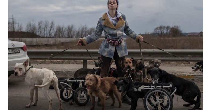 Donna ucraina porta in salvo cani disabili e anziani insieme al marito