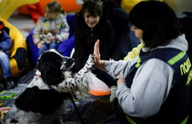 Evsei, il cane da terapia che consola i bambini ucraini