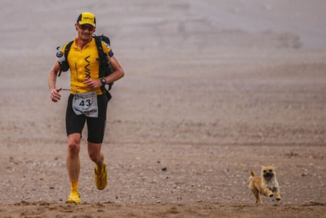 Gobi, il cagnolino randagio che ha rubato il cuore di un atleta