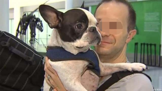 Pilota devia un volo internazionale per salvare la vita di un cagnolino