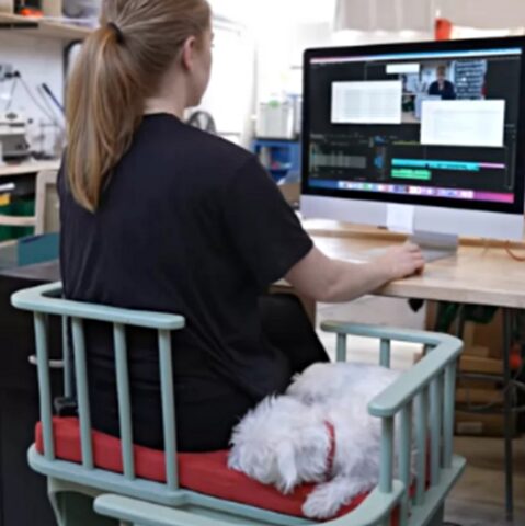 Simone, la donna che ha inventato una sedia per stare accanto al suo cane mentre lavora