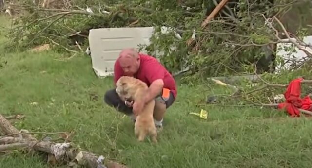 Tater, il cagnolino che ha ritrovato il suo umano dopo un tornado (VIDEO)