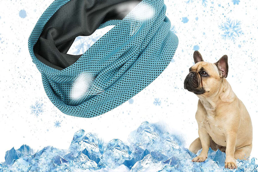 accessorio rinfrescante per il cane