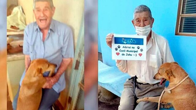 Il signore di 90 anni visita il canile insieme a suo figlio, ma non sapeva che sarebbe finito per adottare un’amorevole cagnolina