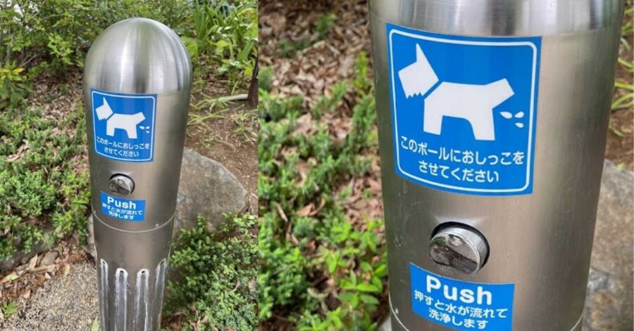 Bagno pubblico per cani a Tokyo invidiato dai proprietari di tutto il mondo: è la svolta