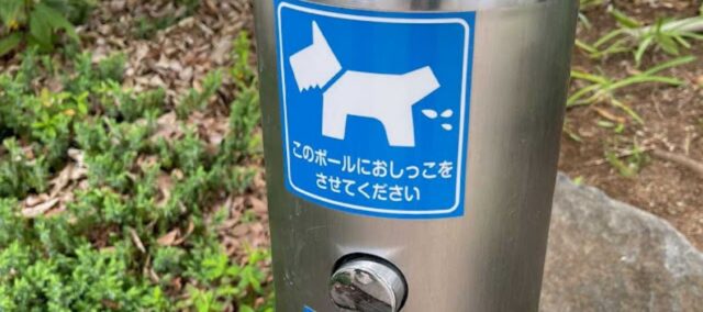 Bagno pubblico per cani a Tokyo invidiato dai proprietari di tutto il mondo: è la svolta