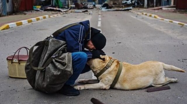 Ucraina: proprietario conforta il suo cagnolone terrorizzato dai bombardamenti in corso