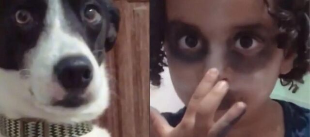 La madre cattura il momento in cui la figlia si trucca per assomigliare al suo cane