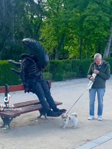 Cucciolo di cane combatte una battaglia importante contro Alien