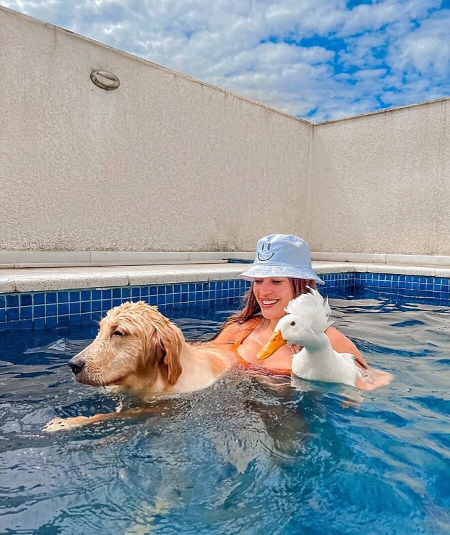 ragazza in piscina con papero e cane
