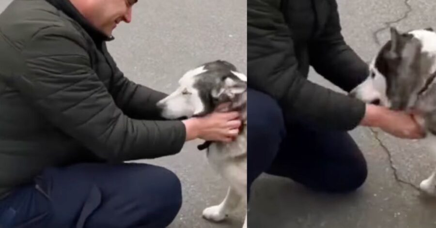 L'uomo si riunisce con il suo amato cane dopo essere stati separati dai bombardamenti a Kiev