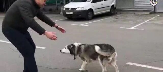 L’uomo si riunisce con il suo amato cane dopo essere stati separati dai bombardamenti a Kiev