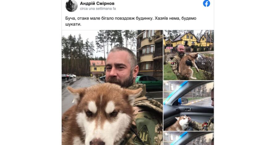 Un soldato ucraino salva un cane abbandonato dopo gli attacchi russi a Bucha