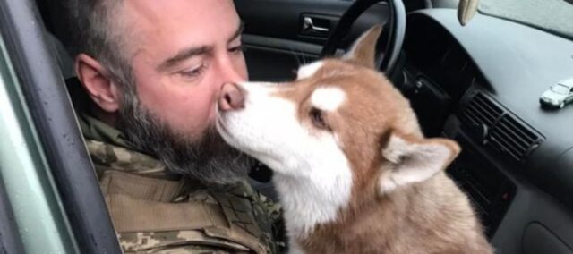 Un soldato ucraino salva un cane abbandonato dopo gli attacchi russi a Bucha