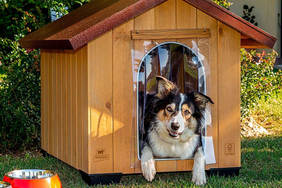 casetta in legno da esterni per il cane