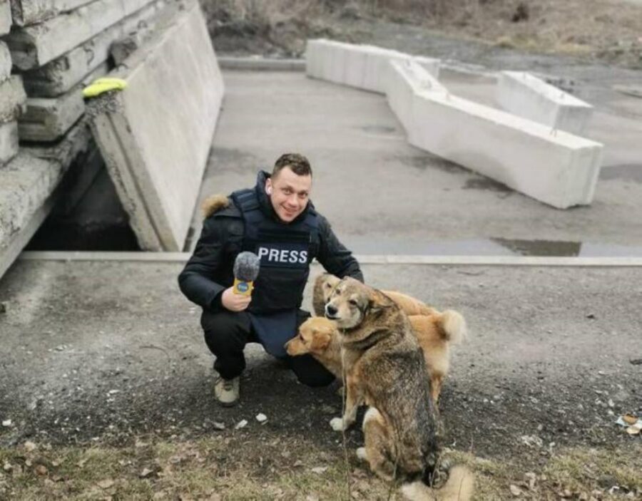 giornalista e cani