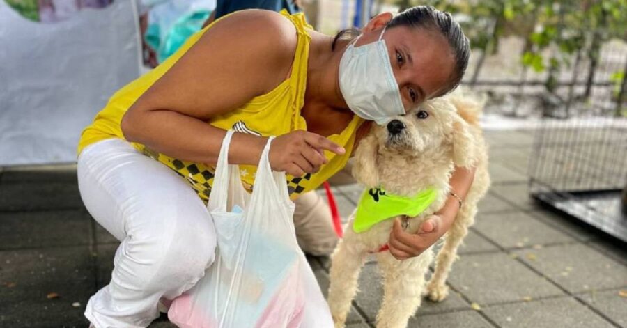 Cinque cani e due gatti hanno trovato casa grazie alla fiera dell'adozione