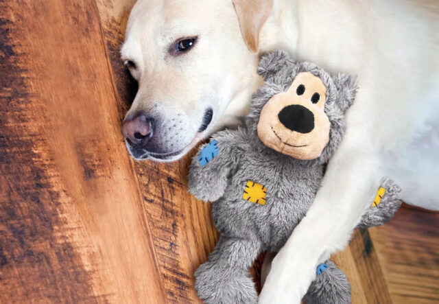 5 giochi per cane a forma di animale, i migliori per Fido