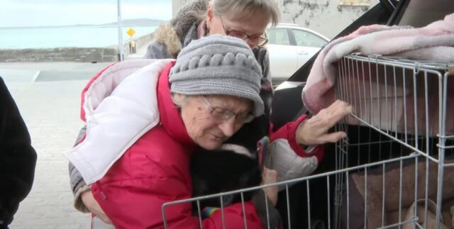 Nonna ritrova il suo cucciolo dopo essere fuggita dal suo paese