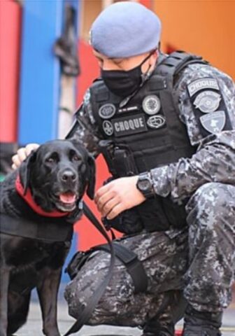 Cucciola di cane si ritira dopo anni di servizio nelle forze speciali