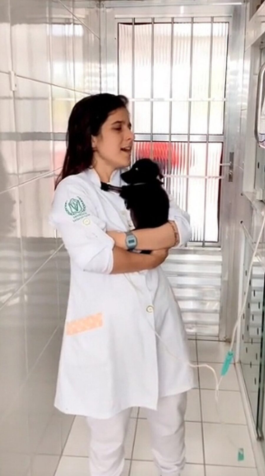 veterinaria culla cucciolo