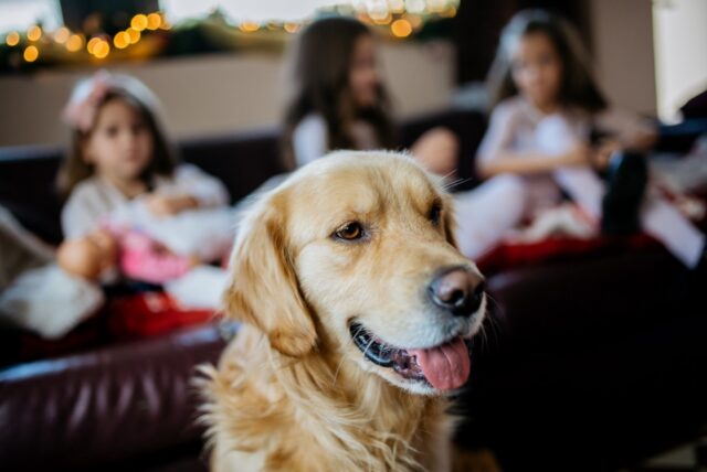 4 buoni motivi per far crescere un cane ed un bambino assieme