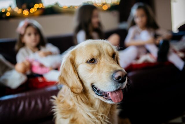 4 buoni motivi per far crescere un cane ed un bambino assieme