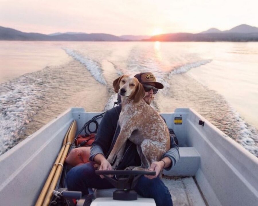 cane in barca