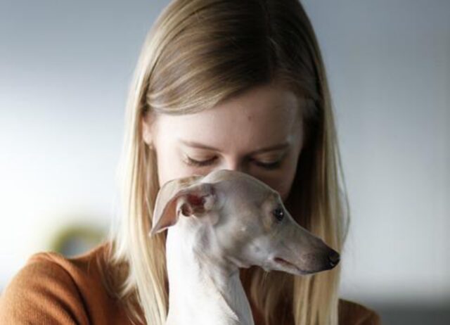 6 foto che raccontano i legami più belli tra cani e genitori umani