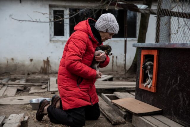 Asya, la donna anziana che sta rischiando la vita per salvare 700 animali