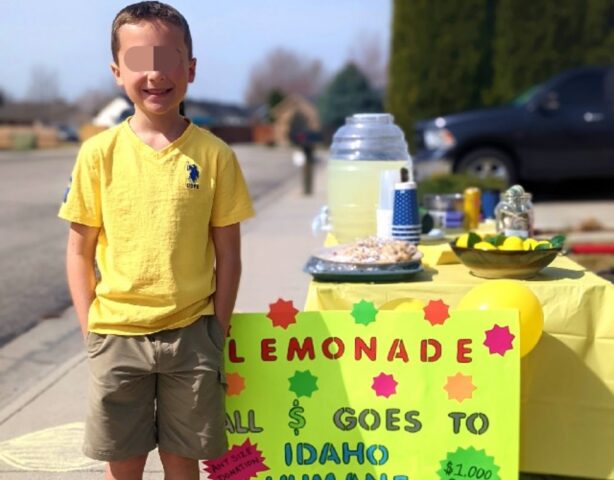 Bambino di 9 anni vende limonata per pagare le spese del rifugio