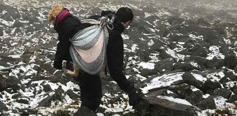 Una coppia di medici salva un cane che si è smarrito in montagna settimane prima