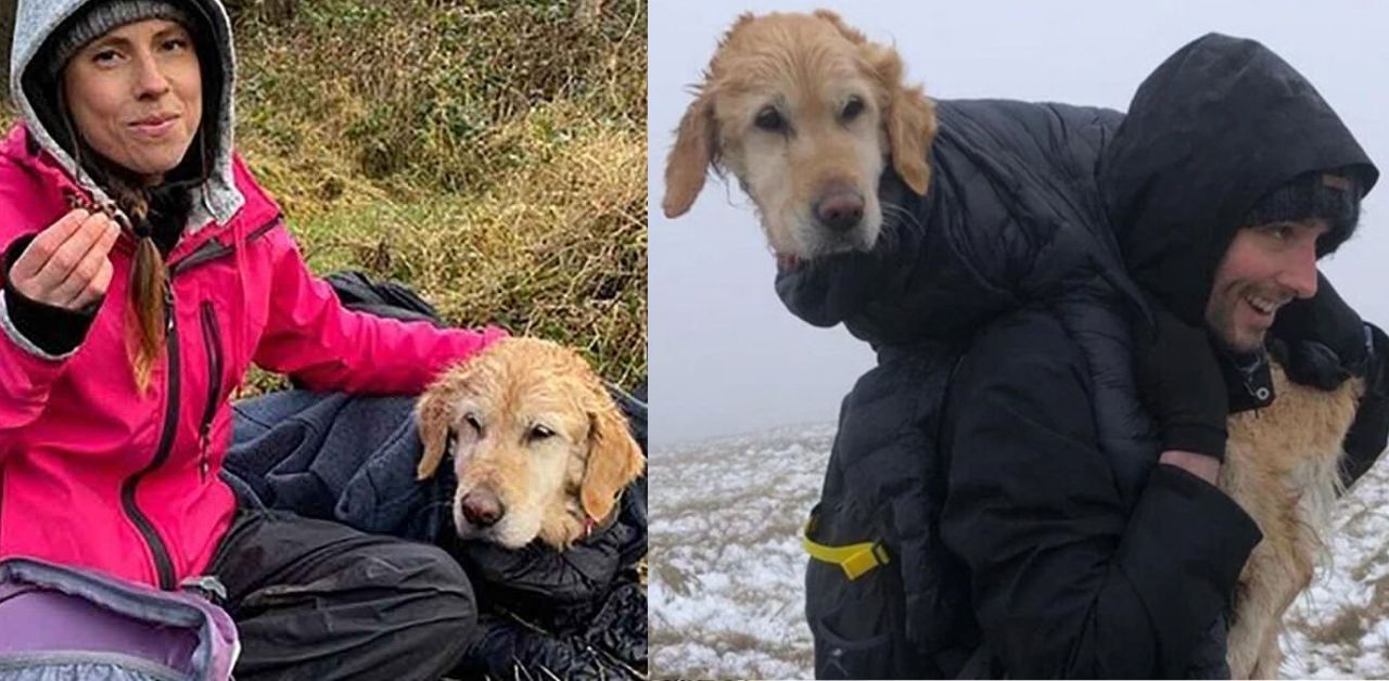Una coppia di medici salva un cane che si è smarrito in montagna settimane prima