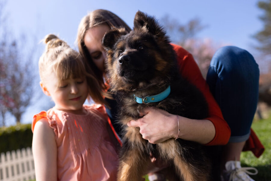 mamma, figlia e cane