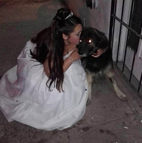 Più di 100 cani hanno avuto una seconda chance grazie a una ragazzina