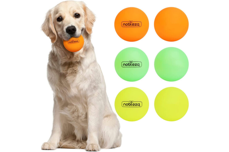 palline colorate fra accessori gommosi per il cucciolo di cane