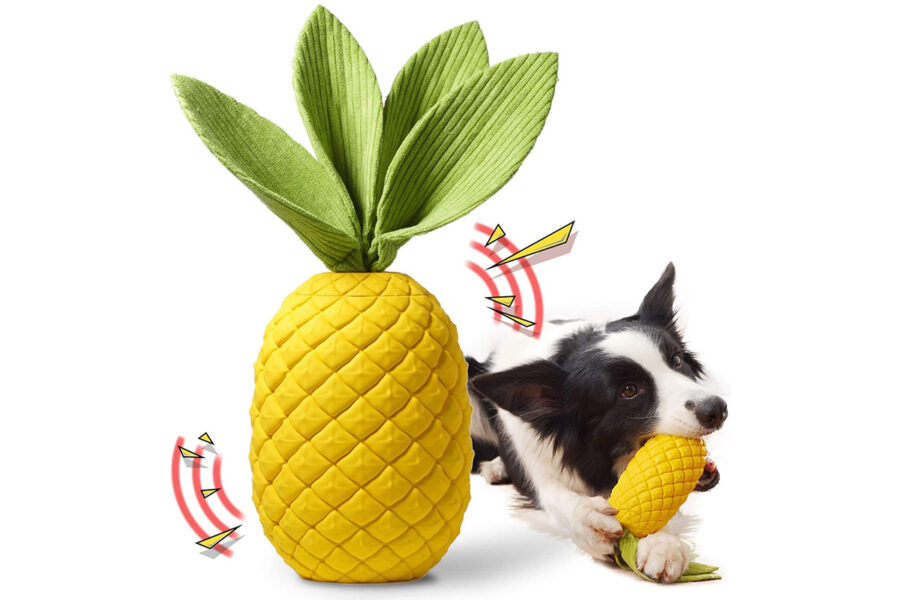 ananas tra gli accessori gommosi per il cucciolo di cane