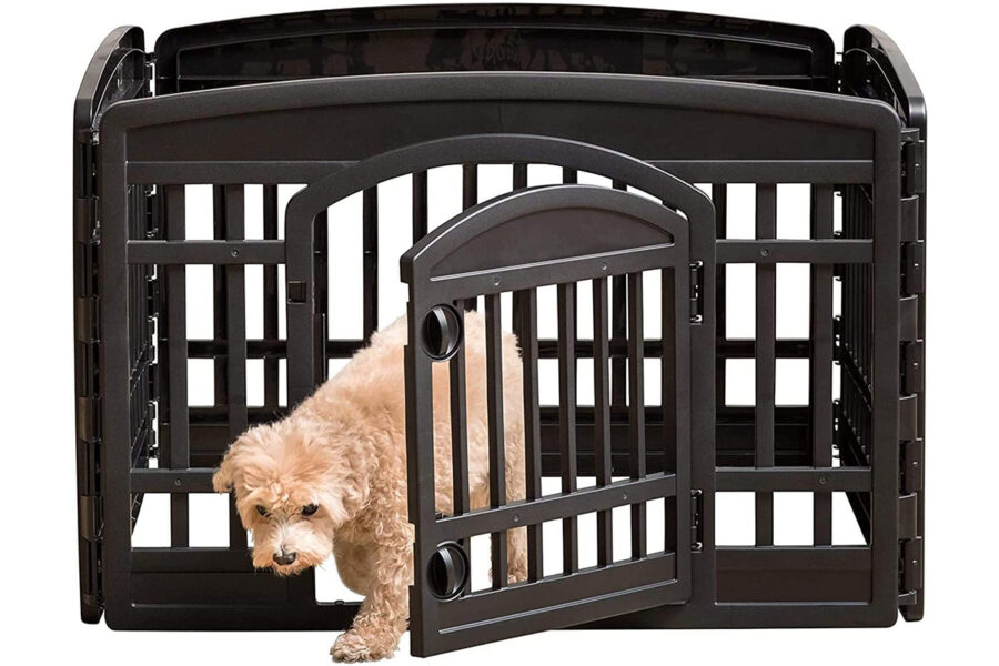 recinto per aiutare il cucciolo di cane in casa