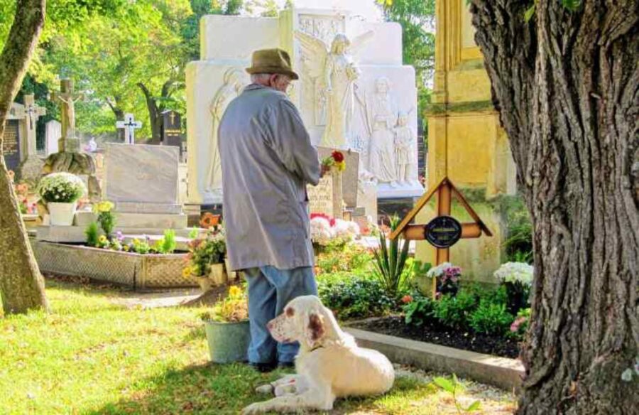 cimiteri per animali domestici