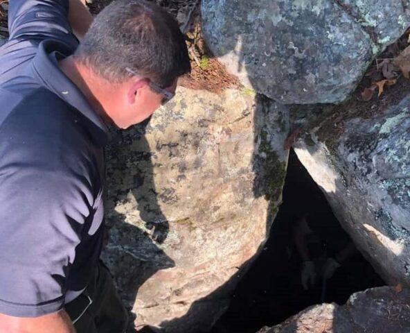 Cagnolino precipita in una grotta: salvato dai Vigili del Fuoco