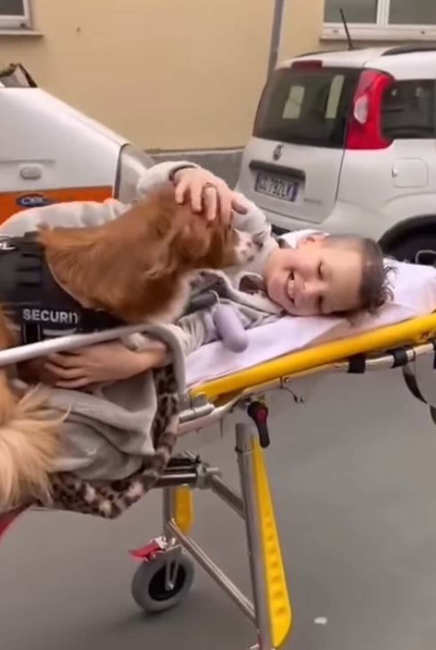 cane accompagna bimbo su ambulanza