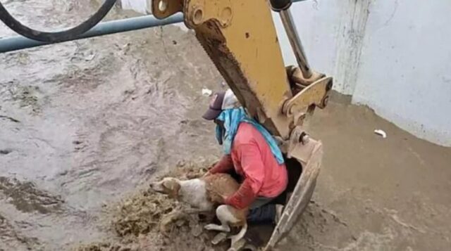 salvataggio con escavatore