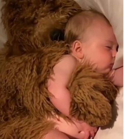 Il cagnolino sembra un peluche e dorme abbracciato al neonato (VIDEO)