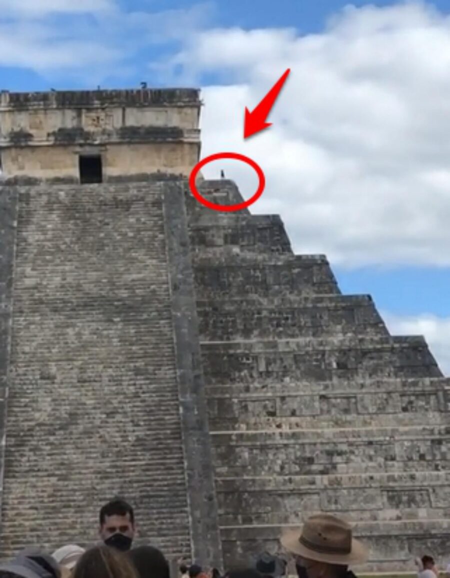 cane sulla piramide