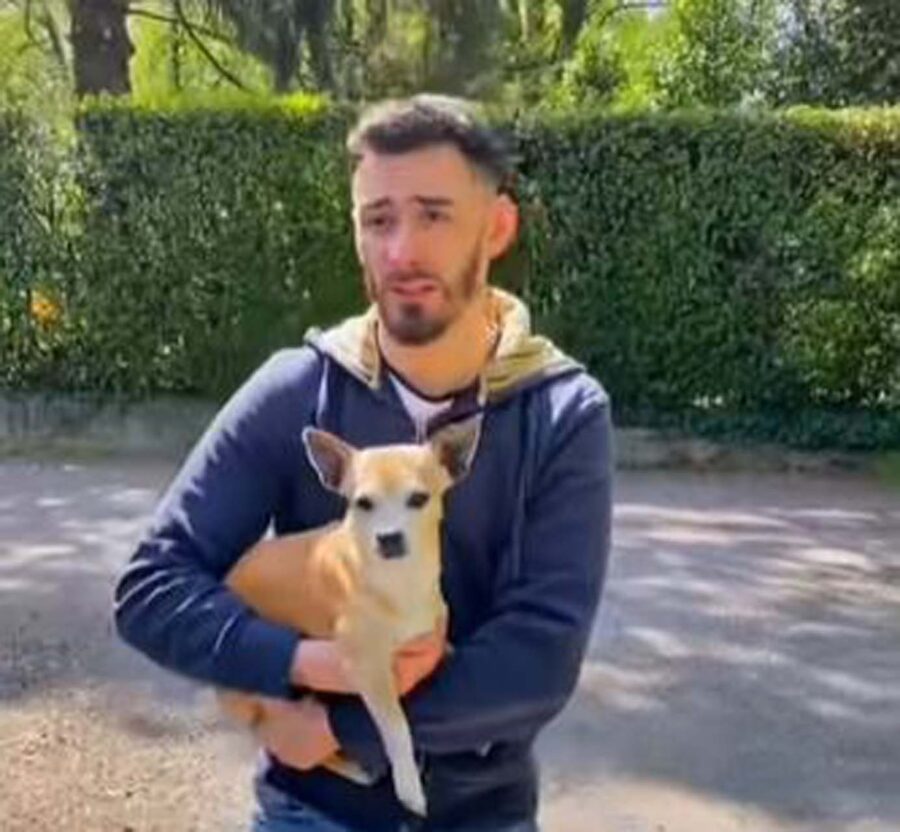 cane ingannato con una passeggiata