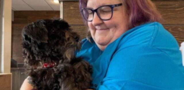 Cane smarrito si riunisce con la sua proprietaria disabile