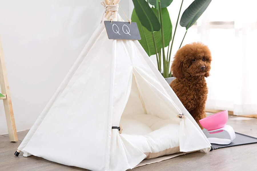 cane davanti alla cuccia a forma di tenda