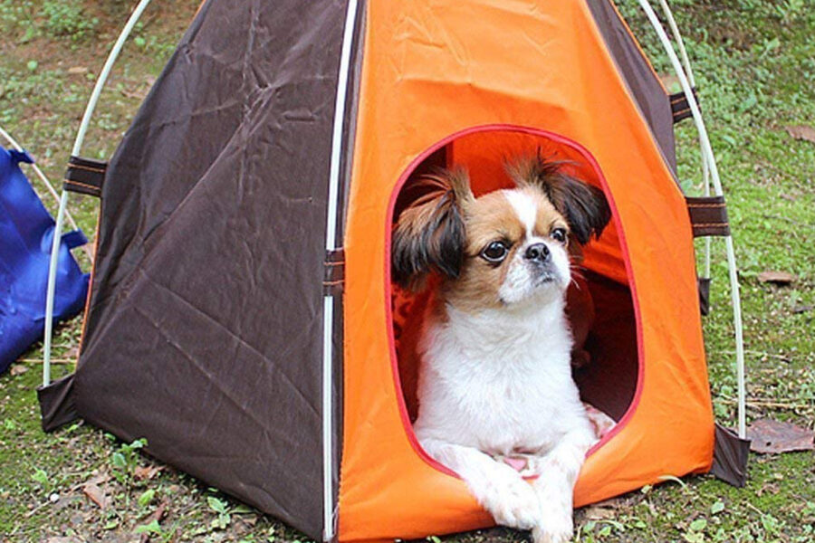 tenda da campeggio per la cuccia del cane migliore in esterna